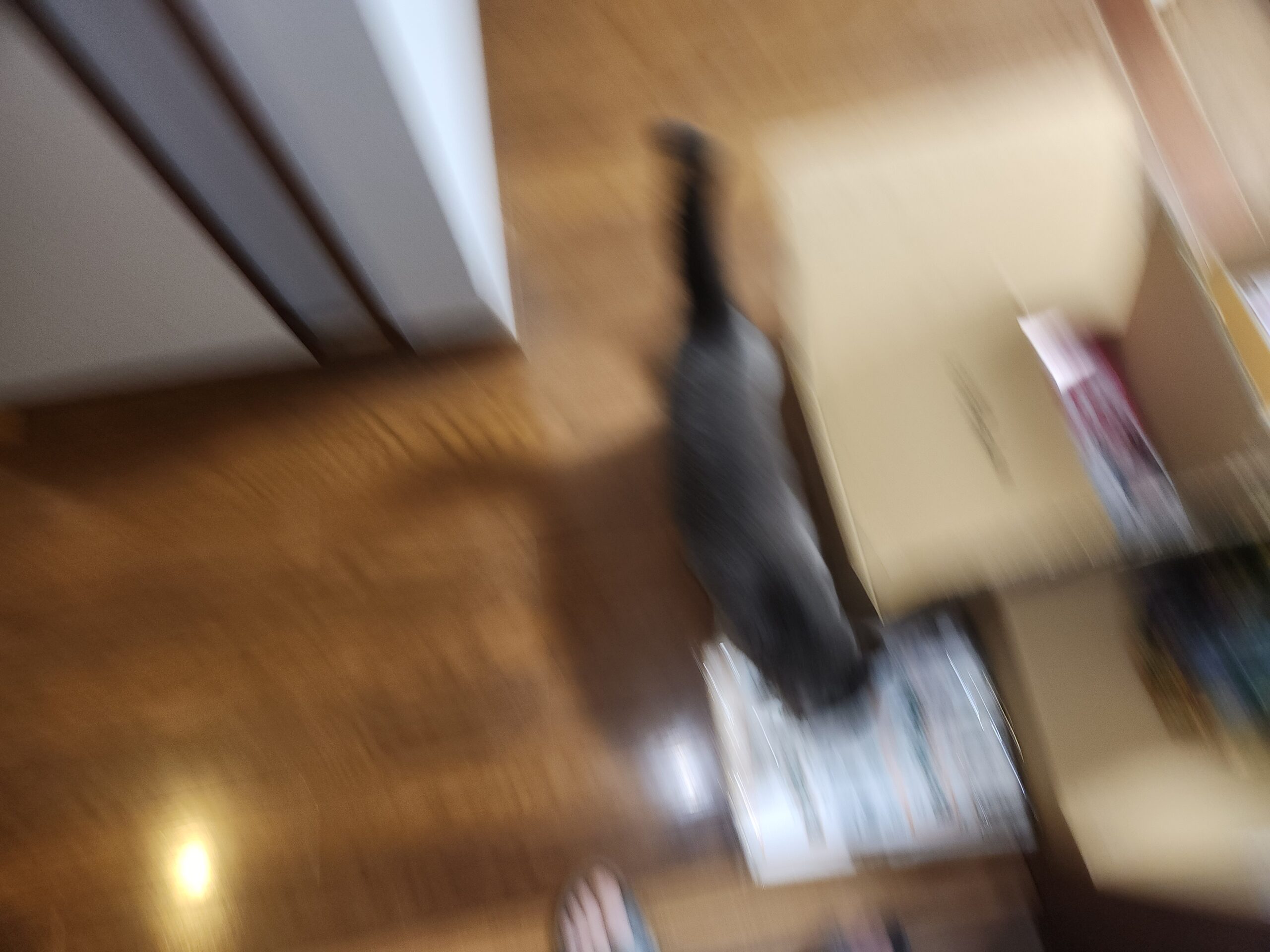 ねこが脱走・・・無事帰還（^0^）